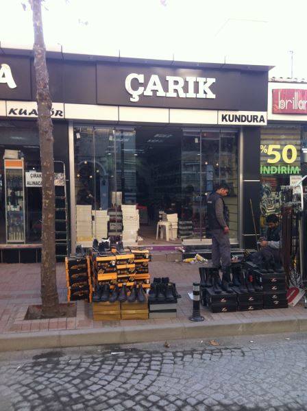 Image Caption