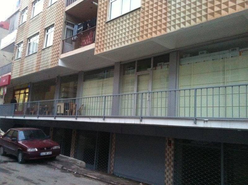 Image Caption