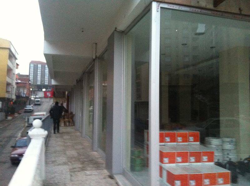 Image Caption