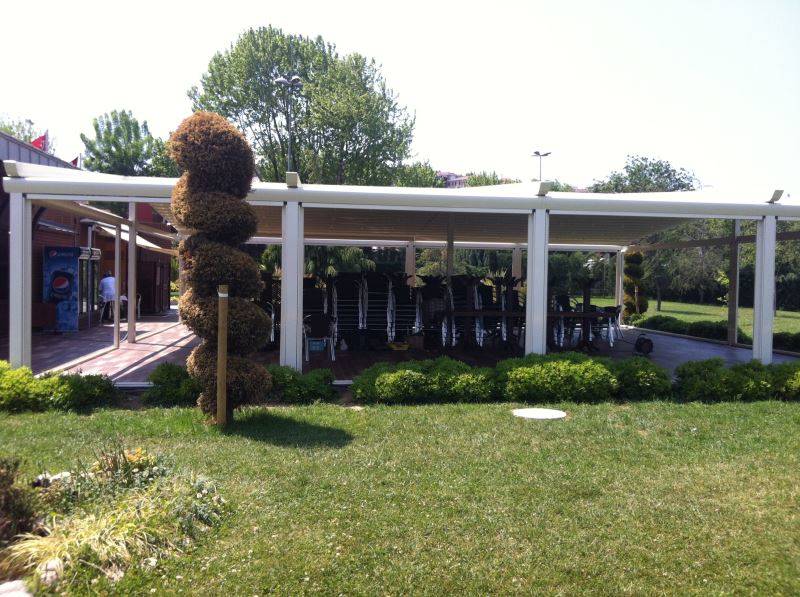 Image Caption